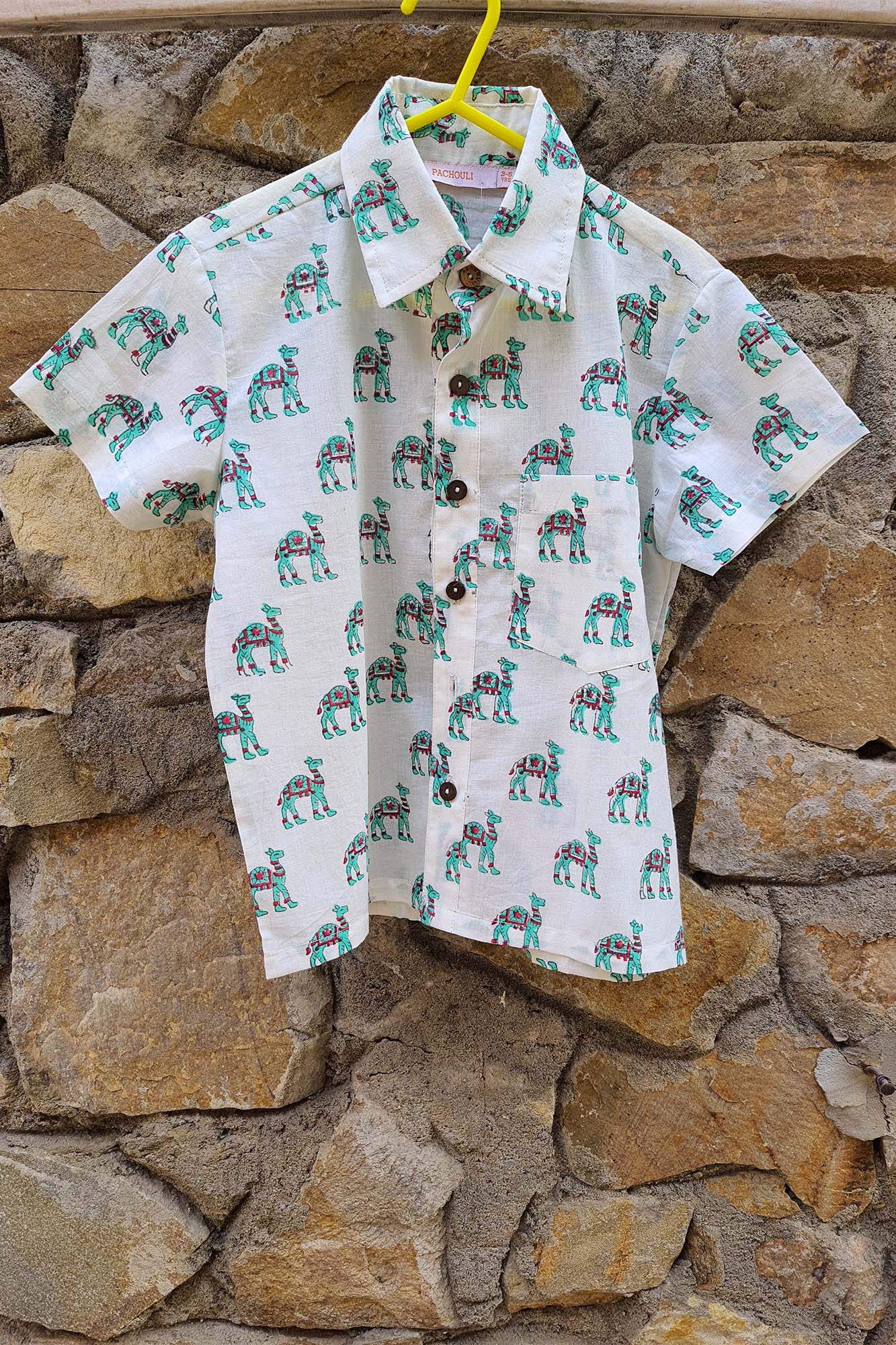 Boy Camel Green Shirt
