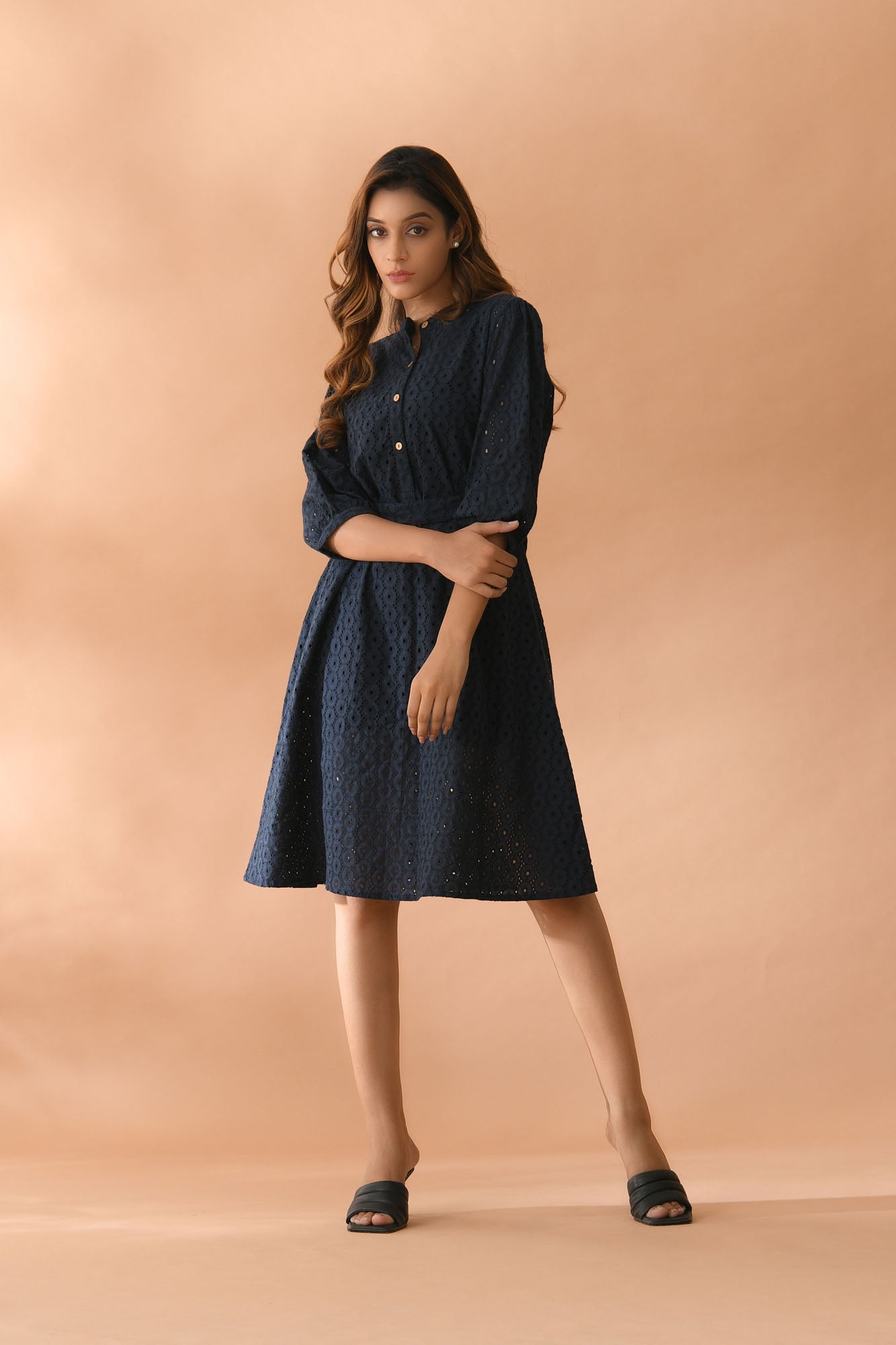 Women Blue Schifli Dress