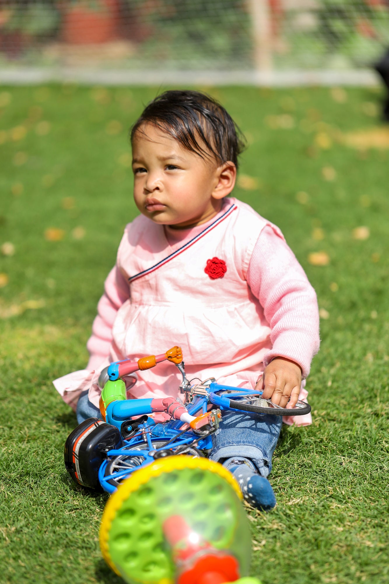 Pink Embroidered Infant Girl Frock