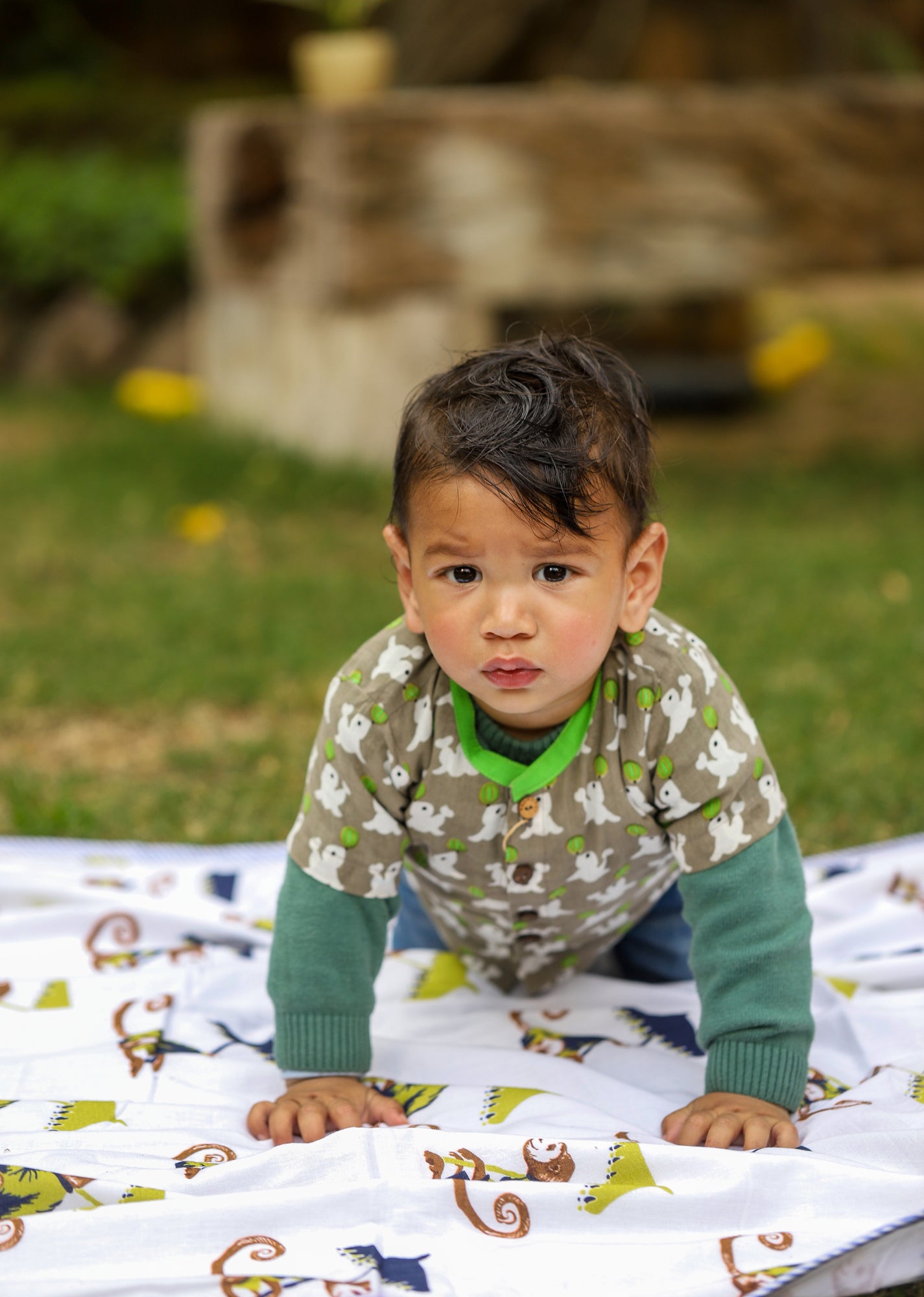 Infant Green Dolphin Front Open Top With Shorts